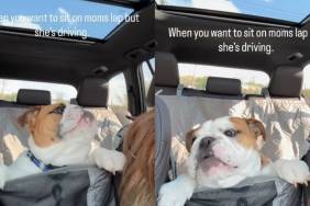 Dog Wants To Sit on Mom’s Lap but Can’t as She’s Driving