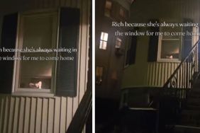 Dog Has the Cutest Greeting as She Waits by Window for Mom To Come Home