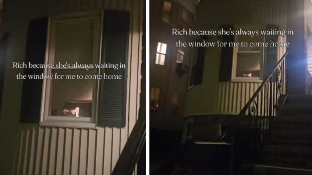 Dog Has the Cutest Greeting as She Waits by Window for Mom To Come Home
