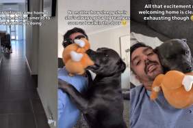 Dog Always Wakes up To Greet Dad Like This No Matter How Sleepy She Is