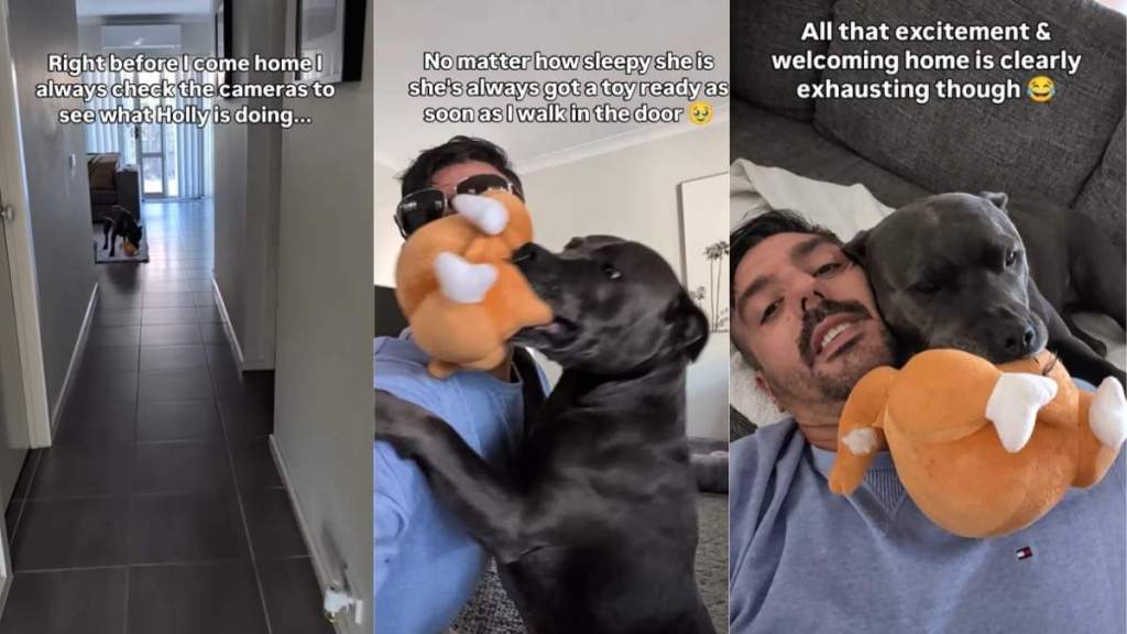 Dog Always Wakes up To Greet Dad Like This No Matter How Sleepy She Is