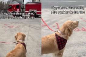 Dog’s First Time Seeing Fire Truck Ends in Adorable Awoo