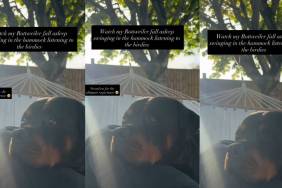 Rottweiler Falls Asleep While Swinging & Listening to Birds