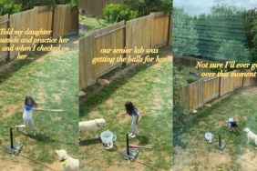Senior Dog Gently Helps Little Girl With Baseball, One Fetch at a Time