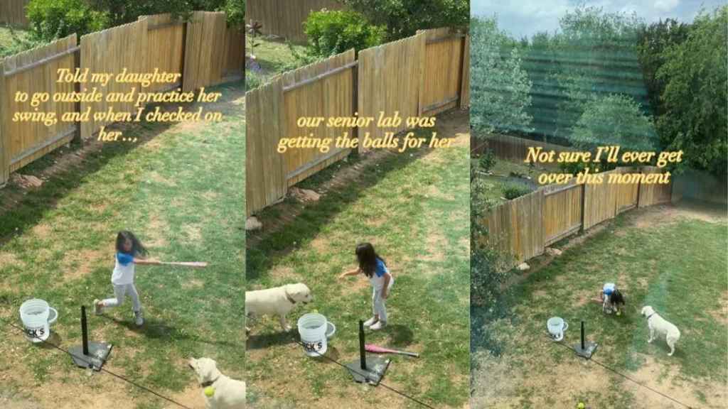 Senior Dog Gently Helps Little Girl With Baseball, One Fetch at a Time
