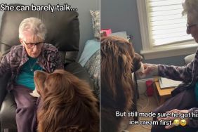 Dog Always Gets Ice Cream First Because Grandma Makes Sure of It
