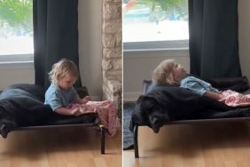 Dog Makes Room for Little Girl in Tiny Bed, Lets Her Use Him as a Pillow