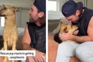 Rescue Pup Buries His Head In Dad's Chest After Getting Compliments