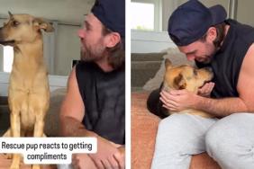 Rescue Pup Buries His Head In Dad's Chest After Getting Compliments
