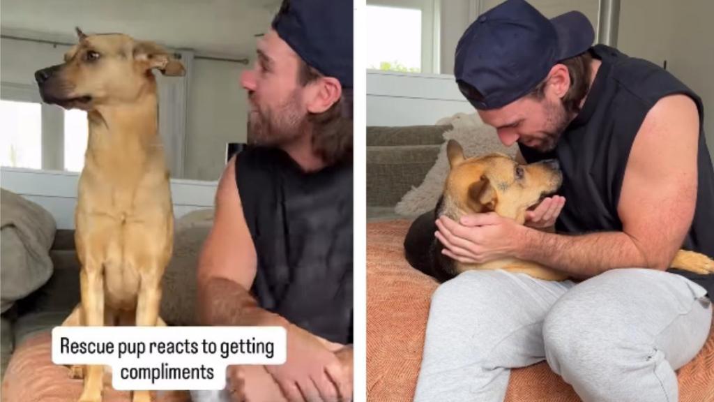 Rescue Pup Buries His Head In Dad's Chest After Getting Compliments