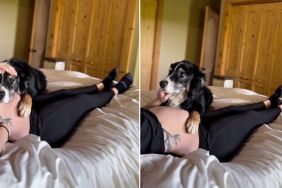 Dog Cuddles Pregnant Mom’s Belly To Feel Baby’s Kick & Does This Next