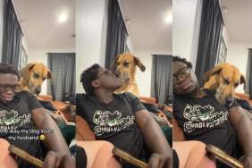 Big Rescue Dog Loves Dad & Has a ‘Ridiculously’ Sweet Way of Showing It