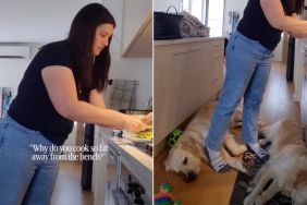 Dog Parent Reveals Reason Behind Cooking Far Away From Bench