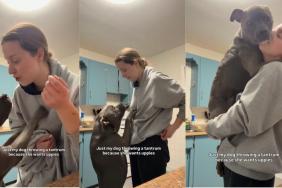 Dog Wants Uppies From Mom Like a Baby, Even Throws a Tantrum for It