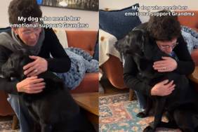 Dog Turns to Grandma for Comfort Every Time She’s Scared