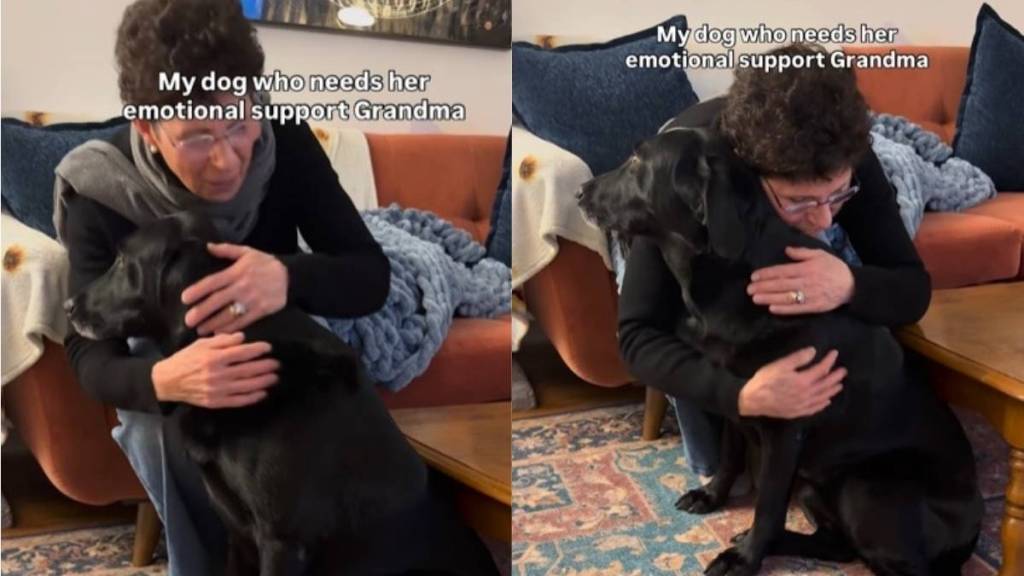 Dog Turns to Grandma for Comfort Every Time She’s Scared