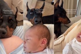 Dog Is Totally Obsessed With Baby After Waiting 9 Months To Meet Him