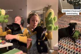 Rescue Dog Gives Toy Medical Care as She & Mom Stitch It up Together