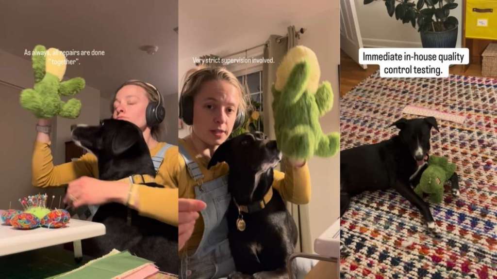 Rescue Dog Gives Toy Medical Care as She & Mom Stitch It up Together