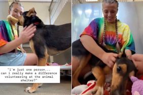 Shelter Dog Proves Even a Little Tender Loving Care Can Go a Long Way