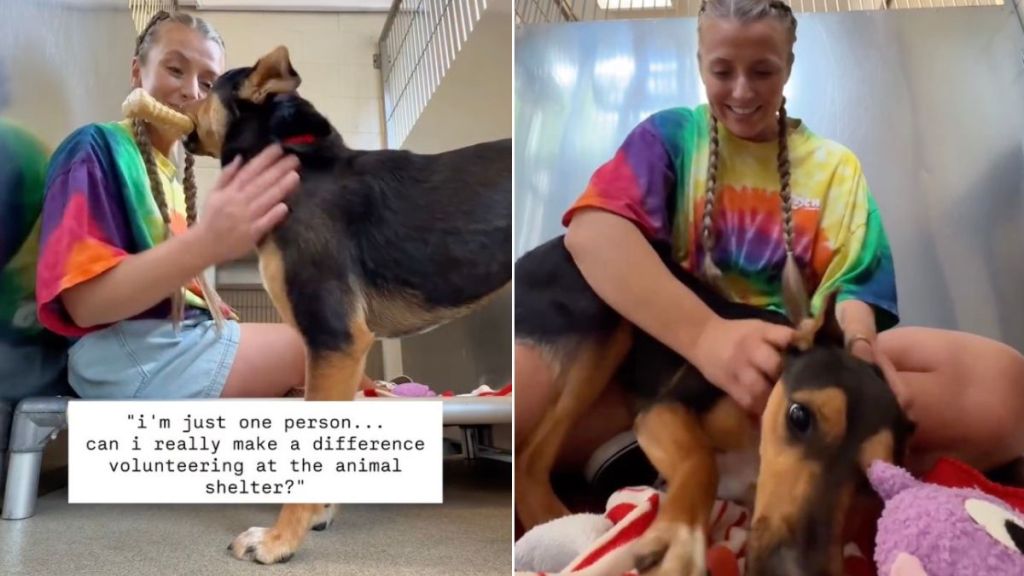 Shelter Dog Proves Even a Little Tender Loving Care Can Go a Long Way