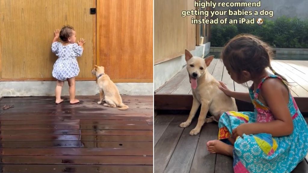 Dog Bonds So Well With Little Girls That Mom Recommends Adopting One