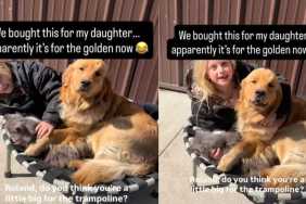 Golden Retriever & Little Girl Squeeze Into Trampoline That’s Too Small