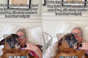 Dog Gets Pampered by Grandma, Who Always Only Says the Right Things