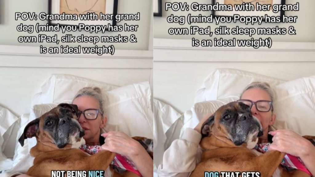 Dog Gets Pampered by Grandma, Who Always Only Says the Right Things