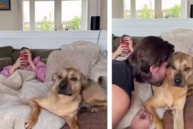 Rescue Dog Doesn’t Want Dad To Interrupt His Snuggle Time With Mom