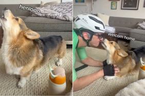 Corgi & Dad Share Adorable Greeting Ritual Involving Howls