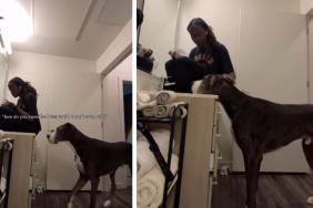 Big Dog Shows Mom How Much He Loves Her Without Saying a Word
