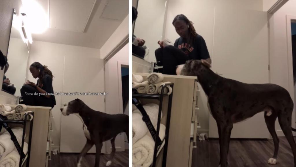 Big Dog Shows Mom How Much He Loves Her Without Saying a Word