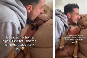 Rescue Dog Saved From Shelter Finds New Life & Thanks Dad With Kisses