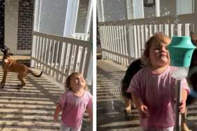 Dogs Joining Little Girl To Play With Bubbles Is Where Fun Meets Chaos