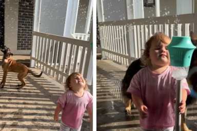 Dogs Joining Little Girl To Play With Bubbles Is Where Fun Meets Chaos