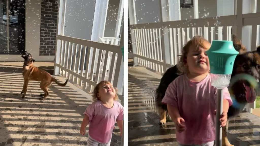 Dogs Joining Little Girl To Play With Bubbles Is Where Fun Meets Chaos