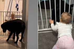 Labrador Gently Greeting Little Girl With Happy Tail Wags Is Pure BFF Energy