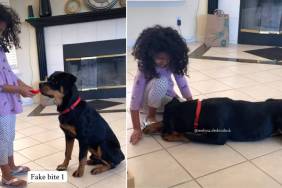 Puppy Takes ‘Fake Bites’ as Little Girl Pretends To Feed Him