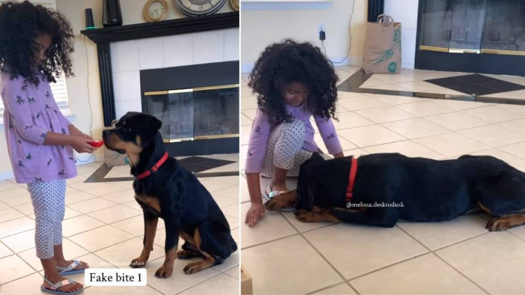 Puppy Takes ‘Fake Bites’ as Little Girl Pretends To Feed Him