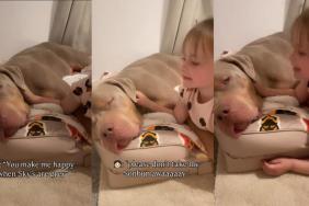Big Dog Gently Falls Asleep as Little Girl Sings Her Song & Cuddles Him