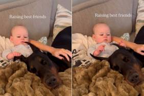 Dog Stays Calm With Baby, Shows What Growing up as Best Friends Looks Like