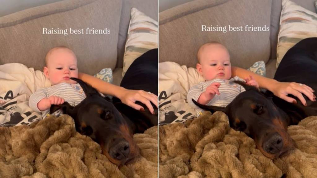 Dog Stays Calm With Baby, Shows What Growing up as Best Friends Looks Like