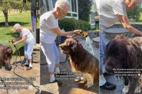 Big Dog Understands He Can’t Make a Mess While Grandma Gives Him a Bath