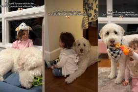Owner Shows Goldendoodle & Little Girl Being Besties Forever