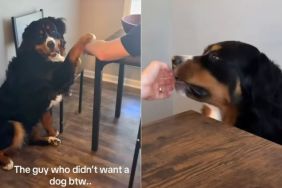 Dog Adorably Holds Dad’s Hand While He’s Having a Meal