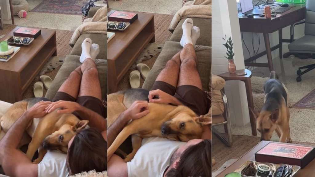 Rescue Dog Doesn’t Hesitate To Curl up on the Couch With Dad for Cuddles