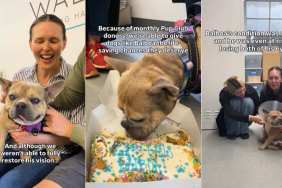 Rescue Dog Doesn’t Get His Vision Back but Finds Home Where He’s Loved as He Is