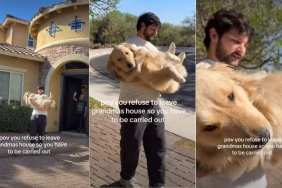 Dog Refuses To Leave Grandma’s House & Has To Be Carried Away