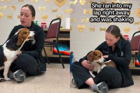 Rescue Dog Wouldn’t Stop Crying Because She Needed To Know She Wasn’t Alone